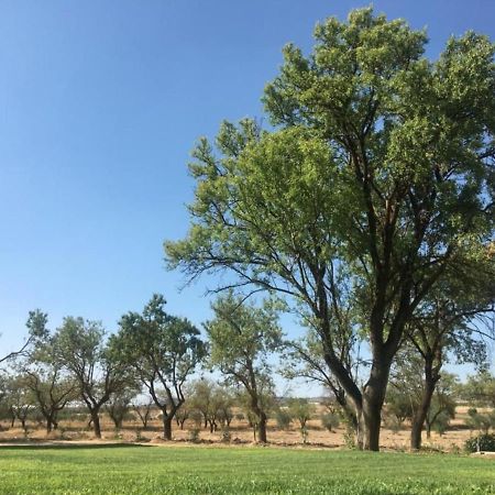 Finca El Relax Colmenar de Oreja Εξωτερικό φωτογραφία