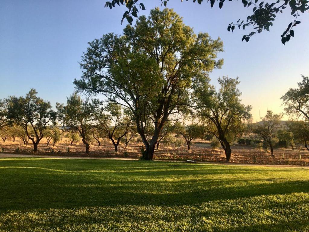 Finca El Relax Colmenar de Oreja Εξωτερικό φωτογραφία